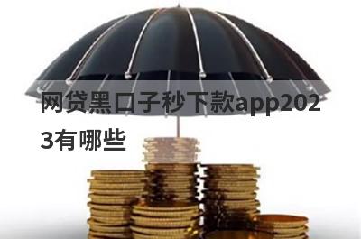 网贷黑口子秒下款app2023有哪些？独家盘点5个双黑户必下款口子