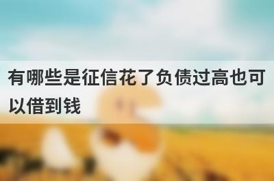 有哪些是征信花了负债过高也可以借到钱 这几个征信花了负债过高也可以借到钱好下款
