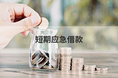 短期应急借款 网贷平台容易借钱