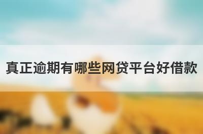 真正逾期有哪些网贷平台好借款？试试这5个借款简单的平台