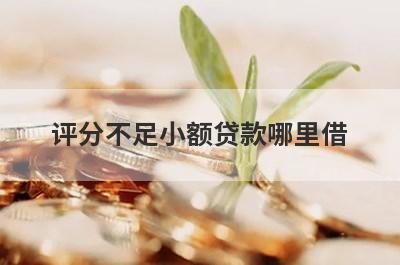评分不足小额贷款哪里借？精选整理5个评分不足马上放款的平台