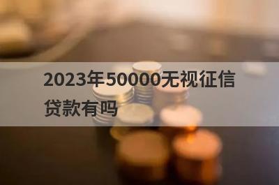2023年50000无视征信贷款有吗？这几个网贷无回访秒到账