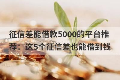 征信差能借款5000的平台推荐：这5个征信差也能借到钱