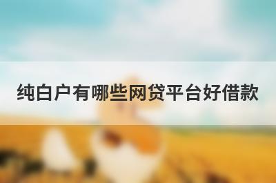 纯白户有哪些网贷平台好借款？试试这5个借款简单的平台