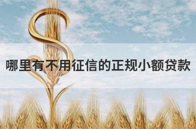 哪里有不用征信的正规小额贷款？急用钱试试这些小额贷款