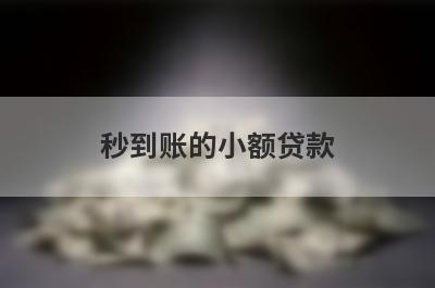 秒到账的小额贷款