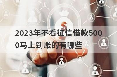 2023年不看征信借款500
0马上到账的有哪些
