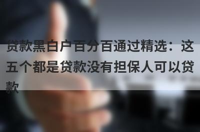 贷款黑白户百分百通过精选：这五个都是贷款没有担保人可以贷款