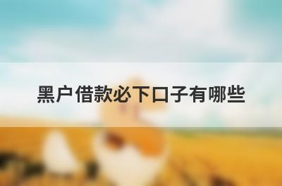 黑户借款必下口子有哪些？不审核直接放款5000app