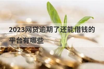 2023网贷逾期了还能借钱的平台有哪些？独家盘点逾期了还能贷款的平台
