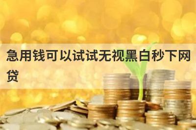 急用钱可以试试无视黑白秒下网贷，放款快速！