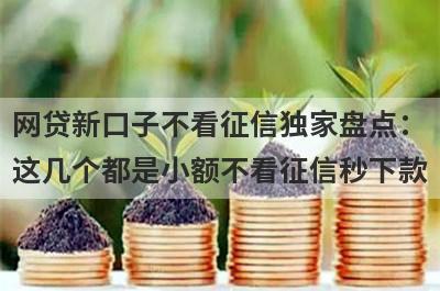 网贷新口子不看征信独家盘点：这几个都是小额不看征信秒下款