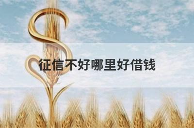 征信不好哪里好借钱？盘点几个征信很烂容易下款的平台