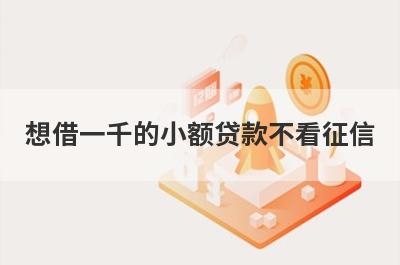 想借一千的小额贷款不看征信？可以试试这些小余额贷款不看征信，支持闪电放款