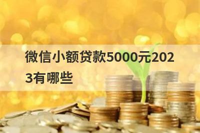 微信小额贷款5000元2023有哪些？整理5个通过微信借钱的平台