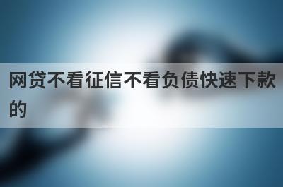 网贷不看征信不看负债快速下款的 整理5个不看征信的借钱平台