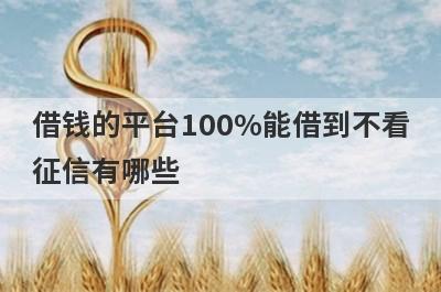 借钱的平台100%能借到不看征信有哪些？分享5个随借随到很方便的网贷