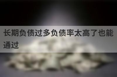 长期负债过多负债率太高了也能通过，这5个平台秒下款