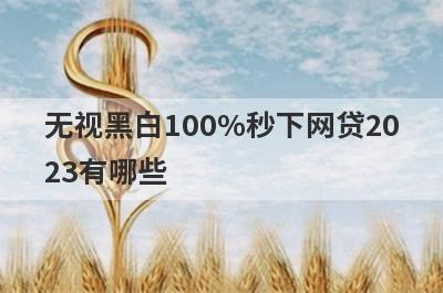 无视黑白100%秒下网贷2023有哪些？推荐5个非常容易下款口子