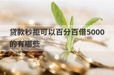 贷款秒拒可以百分百借5000的有哪些？这5个马上到账