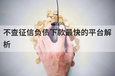 不查征信负债下款最快的平台解析，这5个都能满足不同的借款需求