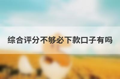 综合评分不够必下款口子有吗？这几个评分不够也好下款