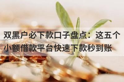 双黑户必下款口子盘点：这五个小额借款平台快速下款秒到账！
