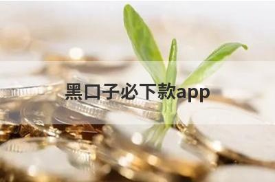 黑口子必下款app，挑选5个黑口子必下款app，低门槛好下款！