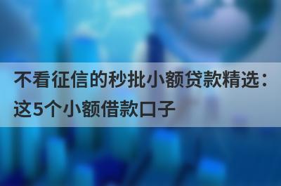 不看征信的秒批小额贷款精选：这5个小额借款口子，轻松借到急需资金！