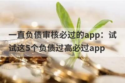 一直负债审核必过的app：试试这5个负债过高必过app