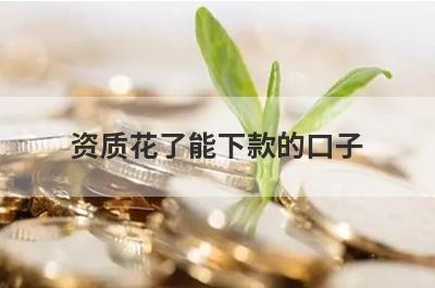 资质花了能下款的口子，汇总5个小额贷款平台，能借到钱秒到账