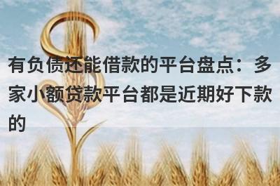 有负债还能借款的平台盘点：多家小额贷款平台都是近期好下款的