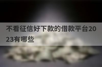 不看征信好下款的借款平台2023有哪些？整理5个不管征信的网贷
