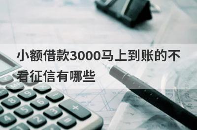小额借款3000马上到账的不看征信有哪些？独家盘点急用钱私人借钱5000