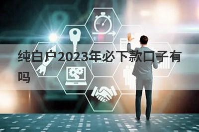 纯白户2023年必下款口子有吗？这几个超级黑户也好下款
