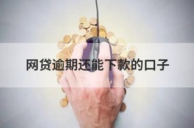 网贷逾期还能下款的口子，这几个网贷口子都能借，闪电下款！