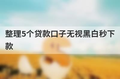 整理5个贷款口子无视黑白秒下款，需要的可以试试