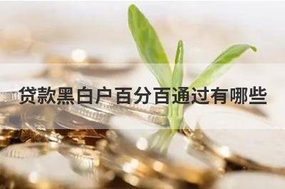 贷款黑白户百分百通过有哪些？推荐5个12月份很好通过口子
