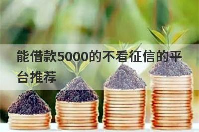 能借款5000的不看征信的平台推荐，这些好申请并马上到账