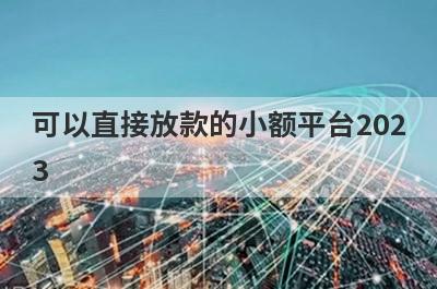 可以直接放款的小额平台2023 独家盘点不需要审核立即放款的网贷