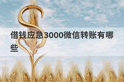 借钱应急3000微信转账有哪些？百分百无视黑白的秒下网贷