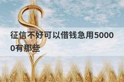 征信不好可以借钱急用50000有那些？精心挑选几个必下款的网贷口子！