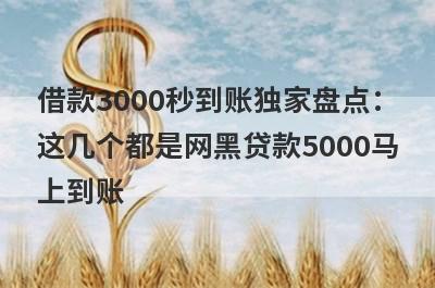 借款3000秒到账独家盘点：这几个都是网黑贷款5000马上到账