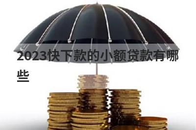 2023快下款的小额贷款有哪些？十分钟下款的小额贷款