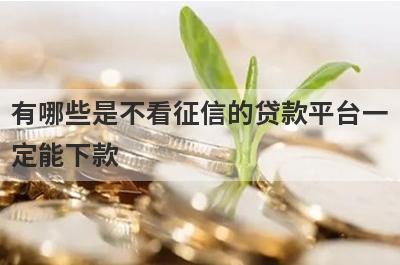有哪些是不看征信的贷款平台一定能下款 这几个不看征信的贷款平台一定能下款12月秒到账