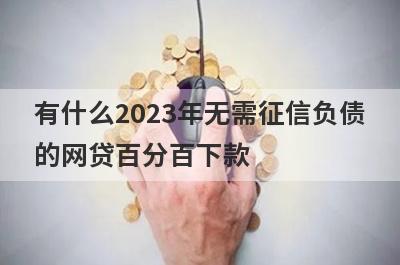 有什么2023年无需征信负债的网贷百分百下款？精选5个好下款的贷款