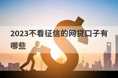 2023不看征信的网贷口子有哪些？分享5个好用的小额网贷平台