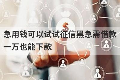 急用钱可以试试征信黑急需借款一万也能下款，放款快速！