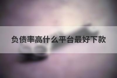 负债率高什么平台最好下款？精选5个负债率高必下款平台