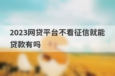 2023网贷平台不看征信就能贷款有吗？这5个平台非常容易下款